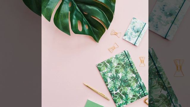 The Brave Bear смотреть онлайн