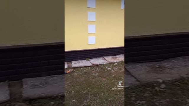 пристрой ( каркасник) смотреть онлайн