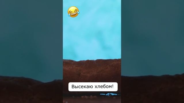 Высекаю хлебом