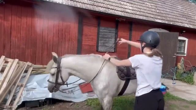 Нелепые ошибки смотреть онлайн