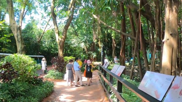 Chimelong Safari Park 8.6.2019 смотреть онлайн