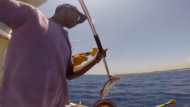 Deep Sea Fishing Charters in Mombasa and Diani Beach in Kenya - We also got to see a Whale Shark! смотреть онлайн