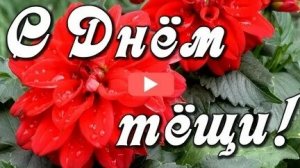 С днём тёщи!