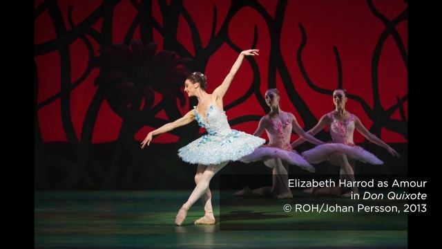 Martin Yates introduces the music of Carlos Acosta's Don Quixote (The Royal Opera) смотреть онлайн