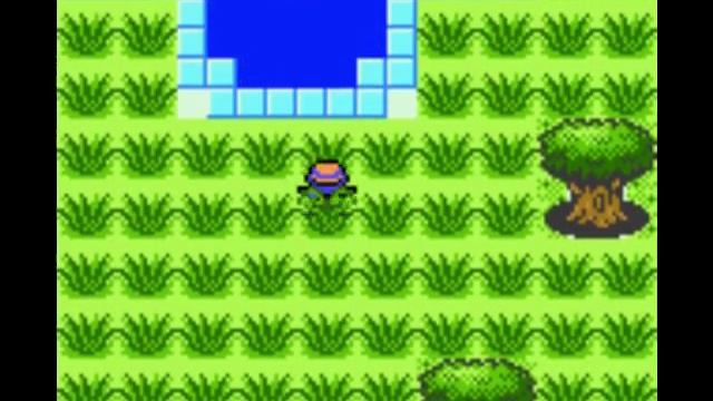 Pokemon Crystal Safari Zone смотреть онлайн