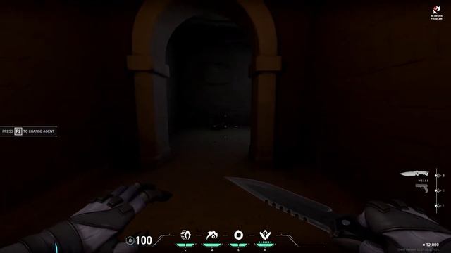 New VALORANT Map? | Door opened | Lore in practice arena смотреть онлайн