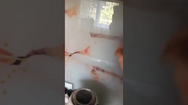 Обзор на мой кухонный фартук из стекла . смотреть онлайн