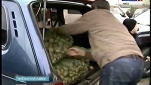 сельхоз ярмарка