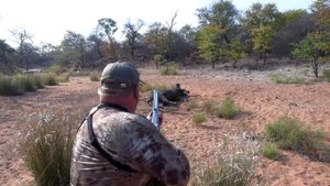 Cape Buffalo Hunt @ FULL CHARGE