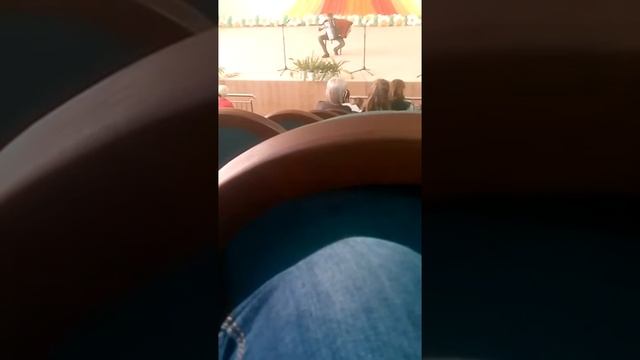 Дверь-гармошка смотреть онлайн