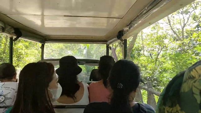 At Cebu Safari Adventure Park Part 1 | @psycherascon1915
