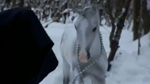 СЕРИАЛ.  Лошади брейер 1серия "Легенда о затмении ".