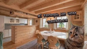 кошачья жизнь часть 2