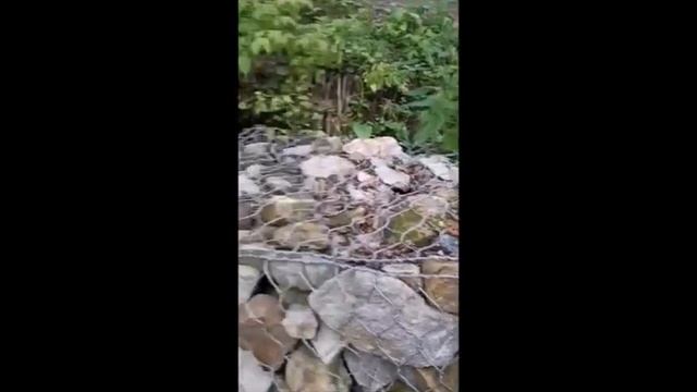 Путешествие по России. Источники Калужской области смотреть онлайн