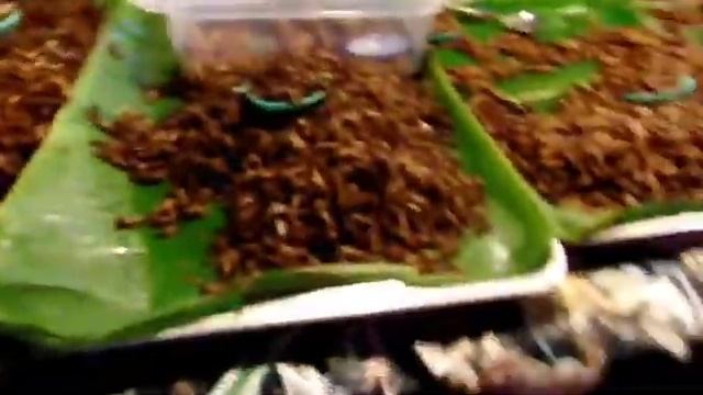 Зайков шоу. Мобильный репортёр. смотреть онлайн