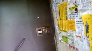 Двойные металлические двери в падик