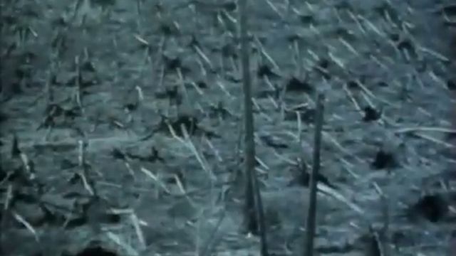 The Force Beyond (1977) | Full Movie | Orson Welles | Donn Davison | Rosko смотреть онлайн