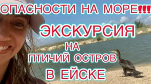 ОПАСНОСТИ НА МОРЕ!!! ЭКСКУРСИЯ НА ПТИЧИЙ  ОСТРОВ В ЕЙСКЕ.