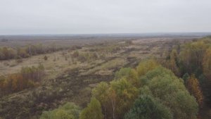 Ватолино. Автономия 10 ГА - КП с базой отдыха на Пруду 6.000 м2