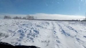 На УАЗике за дровами(Уаз вездеходъ)