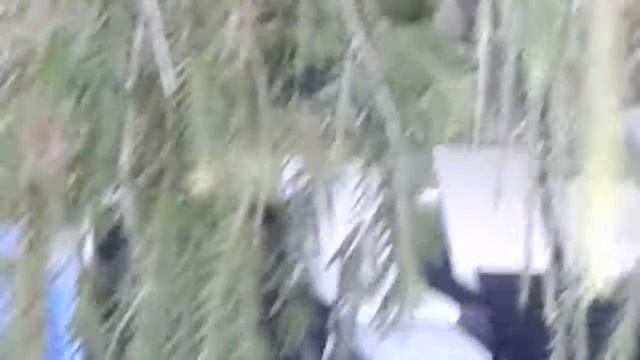 Тха ба. Нячанг. Вьетнам. смотреть онлайн