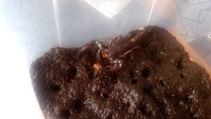 жадный скорпион ест, greedy Scorpion eating