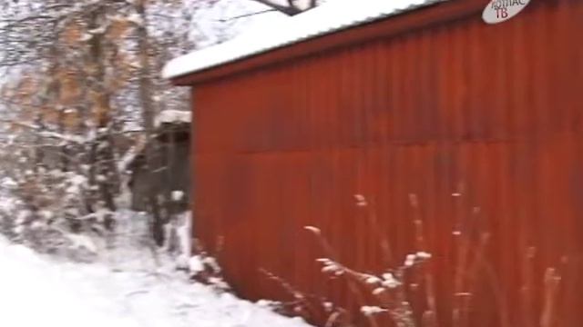 Несанкционированные постройки 29 11 2016 смотреть онлайн