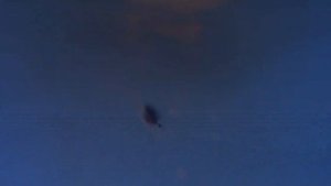 Аналог  Shotcam