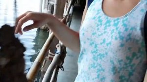 Устричная ферма в Паттайе / Oyster farm in Pattaya