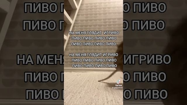 На меня глядит игриво пиво пиво пиво