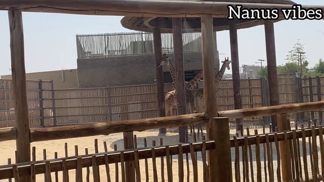 Dubai safari park Adventure |Safari park 2021 | No1 Zoo |Must visit place in Dubai