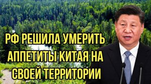 Си Цзиньпинь как минимум удивлен! Россия решила умерить аппетиты Китая на своей территории
