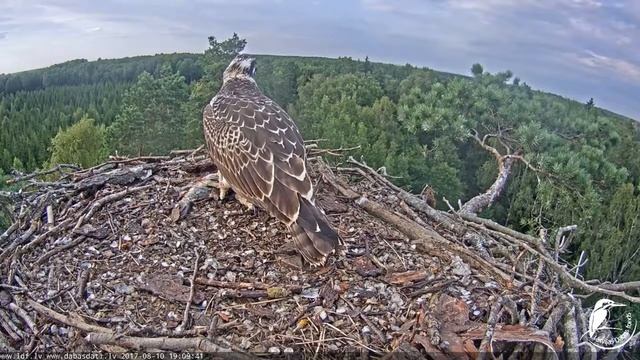 2017/08/10 19h08m~Tuks turns out to be the brave one here~ смотреть онлайн