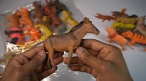 wild animals entertainment 13+ dinosaurs horse tiger lion zebra cow camel deer leopard. Animals Dem