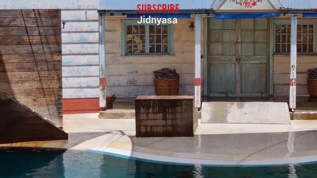 Toranga zoo Sydney part 2- The seal show смотреть онлайн