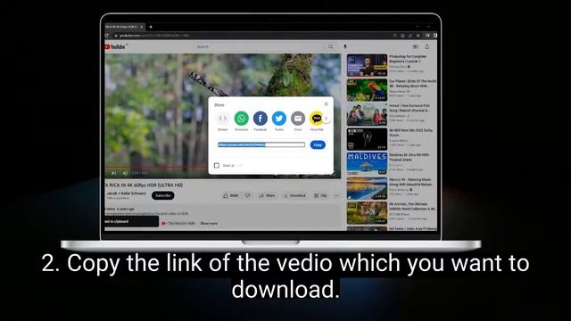 How to Download YouTube Videos: A Step-by-Step Guide || EntireYt || #youtube