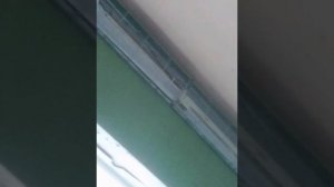 Школа номер 88 (часть2)