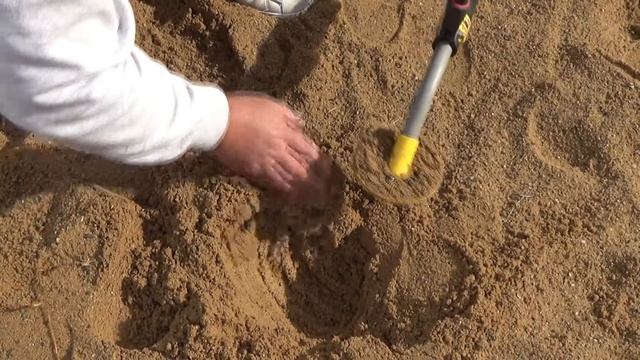 Ударный поиск на новых местах. Часть II. Есть крупный номинал! Золотой Трофей! Коп в Германии! смотреть онлайн