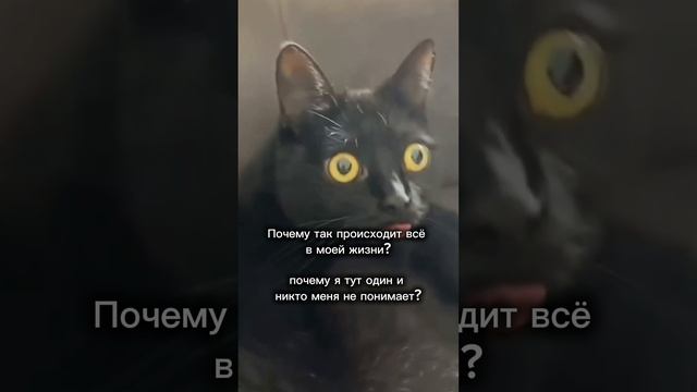 Причина всех событий #осознанность #психология #творец #интенсив #душа #причинавомне