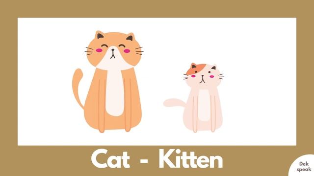 Mom & Baby Animals I Fun Educational Flash Card VDO for baby, toddler, kids, family and teachers