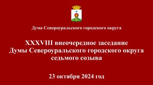 Внеочередное тридцать восьмое заседание Думы 23.10.2024 года