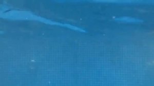 МУЖ ЗАСТАЛ ЖЕНУ НА ЛЮБОВНИКЕ ВЕРНУВШИСЬ С РАБОТЫ РАНЬШЕ, И СТАЛ РАЗМЫШЛЯТЬ НАД МЕСТЬЮ