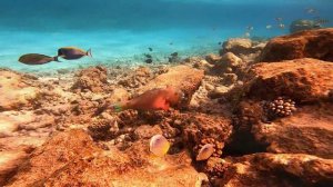 Thulhagiri Island Resort 2022