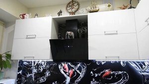 Обзор кухни из пластика. Project 21. Кухня по индивидуальному проекту.