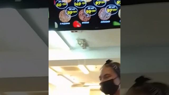 Фаст-фуд Мариуполь,поели,попили,все довольные смотреть онлайн