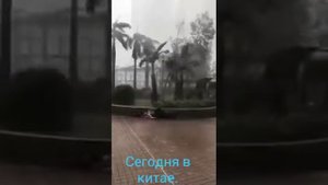 Бедный китай