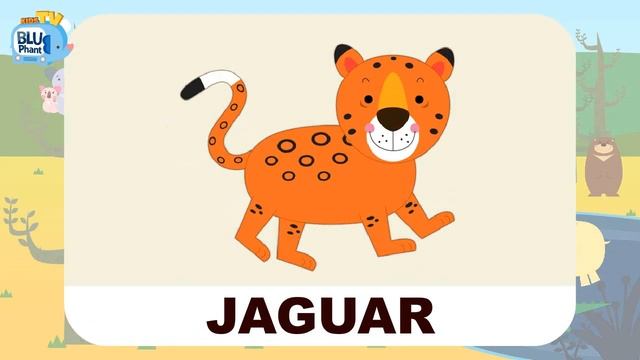 ⭐️Kids Vocabulary⭐️ Safari Animals for Kids / Toddlers | Kids Flashcards | Learning English for Kid смотреть онлайн