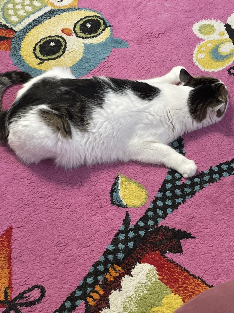 Я тут смотреть онлайн