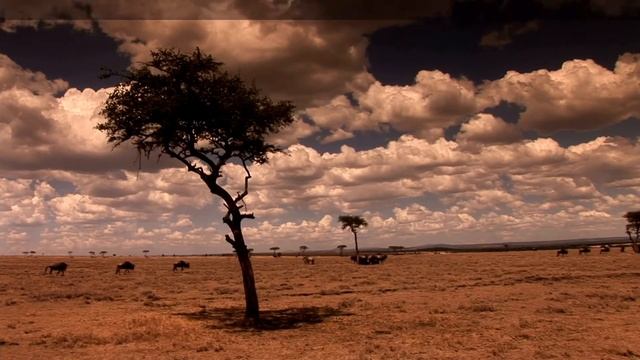 Dexta Daps x Teejay x Popcaan Type Beat | "Safari" Riddim | 2020 Dancehall Instrumental смотреть онлайн