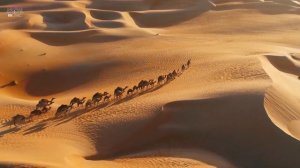OsMan - Hawse | Dubai dunes safari